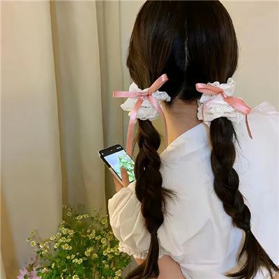 布里叶女士
