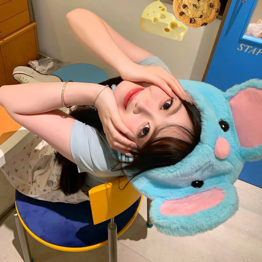 欢迎来到丛林